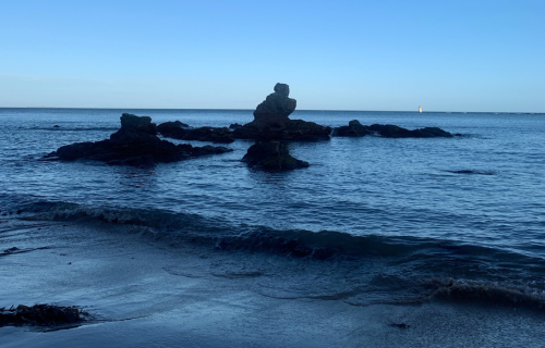 seacliff beach East Lothian