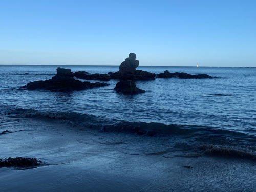 seacliff beach East Lothian